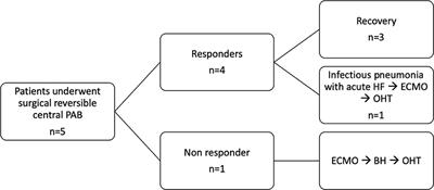 Pulmonary Artery Banding for Ventricular Rehabilitation in Infants With Dilated Cardiomyopathy: Early Results in a Single-Center Experience